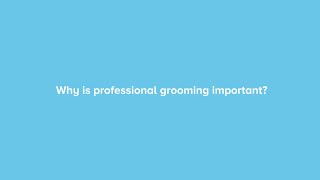 The Importance of Professional Dog Grooming  PetSmart [upl. by Germain]