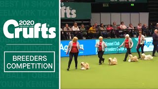 Breeders Competition Final  Crufts 2020 [upl. by Hi228]