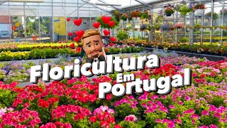 VEM VER ESSA FLORICULTURA EM PORTUGAL 🌹😍  Eduardo Wizard [upl. by Prevot]