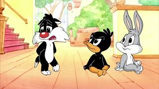 Baby Looney Tunes  Mudanças 3 [upl. by Steel818]