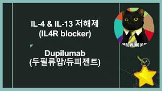 IL4 수용체 저해제 Dupilumab 듀피젠트 작용 기전 정리 [upl. by Atinoj784]