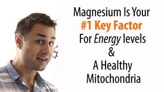 Magnesium Deficiency And Your Mitochondria [upl. by Nennarb]