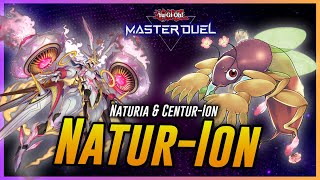 Naturia amp CenturIon Deck at Rank Match 2024  Master Duel  遊戯王 [upl. by Emelin]