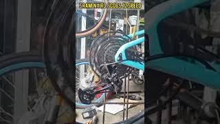 Goldix 370 ratchet hub sound check Bianchi Carbon Lodi shorts bicyclerepair [upl. by Esmond]