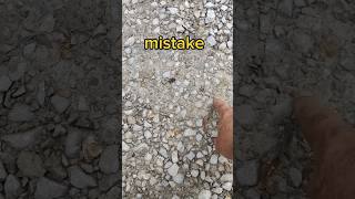 Biggest Gravel Driveway Mistake People Make graveldriveway [upl. by Hedaza444]