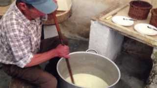 Separating Curds and Whey [upl. by Hcone]