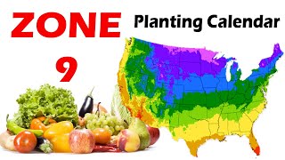 Zone 9 Planting Calendar  Guide to Successful Gardening in Zone 9 [upl. by Barrie]