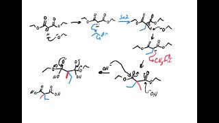 Malonic ester synthesis [upl. by Neicul593]