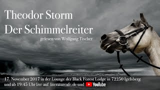 Theodor Storm Der Schimmelreiter  Teil 1  gelesen von Wolfgang Tischer [upl. by Kesia]