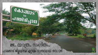 One of the most beautiful road in Palakkad Kerala  Kongad to Pathirippala  Going Forest [upl. by Modesty]