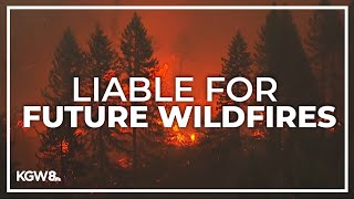 Oregon regulators reject Pacific Powers proposal to limit liability for future wildfires [upl. by Eicam801]