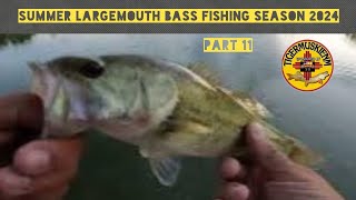 SUMMER LARGEMOUTH BASS FISHING SEASON 2024 PART 11 [upl. by Seessel]