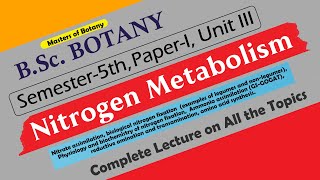 BSc Botany 5th Semester  Paper I Unit III Nitrogen Metabolism  Complete Lecture [upl. by Solram]