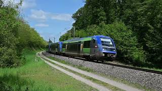 Trainspotting en Forêt de Chaux  BFC  mai 2024 [upl. by Eiznil]