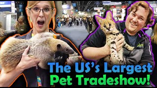 We went to the Global Pet Expo [upl. by Ttayh]