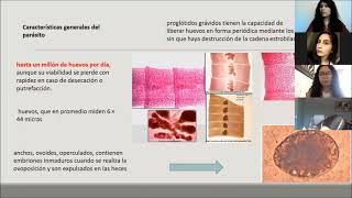 Difilobotriasis Diphyllobothrium latum [upl. by Eadahs348]