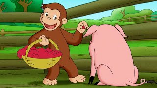 George il contadino 🐵 Curioso Come George 🐵 Cartoni per Bambini [upl. by Fogarty]