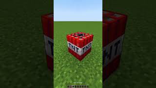 Minecraft TNT vs 1000 Mini TNT🤯もういいよ shorts [upl. by Leviram]