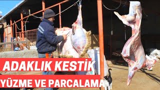 ADAK KESTİK  KOYUN KESİMİ YÜZME PARÇALAMA  Kuzu Yüzme kuzu parçalama kuzu kesim Kurban kesimi [upl. by Nebeur]