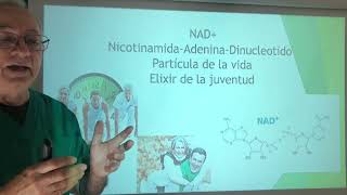 Vitamina B3 Por que tomarla La molecula NAD Partícula de la vida Cofactor necesario [upl. by Elraet]