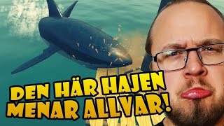 DEN HÄR HAJEN MENAR ALLVAR [upl. by Tammie]