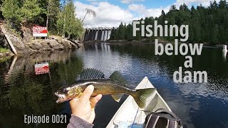 Fishing below a dam  Seine River  Multispecies [upl. by Stephenie]