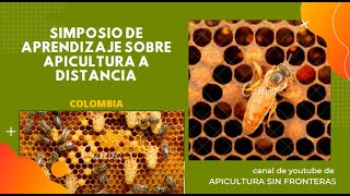 COMO PREPARAR EL CANDY PARA JAULAS DE ABEJAS REYNAS🌻🌼🐝 apicultura [upl. by Enaoj]