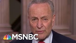 Schumer Trump Admin Prolonging Nations Agony Avoiding Science  Rachel Maddow  MSNBC [upl. by Grussing121]