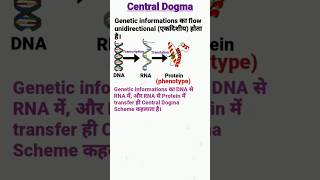 Central Dogma of Molecular Biology  Transcription and Translation centraldogma molecularbiology [upl. by Connors121]