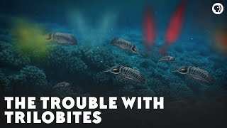 The Trouble With Trilobites [upl. by Fidela]