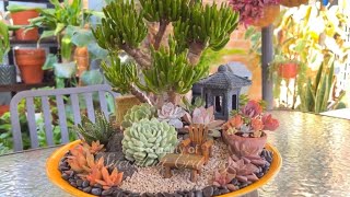 Succulent Arrangement Makeover [upl. by Leunad875]