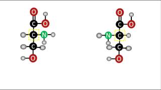 Bioquímica  Enantiómeros D y L de los aminoácidos [upl. by Marena]