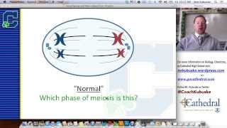 Karyotyping amp Genetic Disorders [upl. by Columbine]