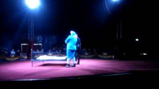 Big Kid Circus Bonnyrigg Midlothian HD 2016 [upl. by Iliram975]