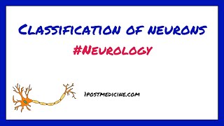 Classification of Neurons  Neurology [upl. by Arrec]