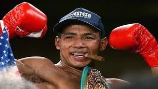 Ricardo Mayorga  Highlights  Knockouts [upl. by Iclehc]