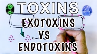 Overview of Toxins  Exotoxins Vs Endotoxins [upl. by Sesiom]