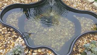 Update on the 125 gallon pond 3192019 [upl. by Ardnoik709]