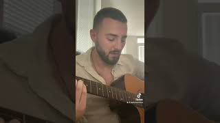 Moj lipi andjele  Nemanja Toplica  cover [upl. by Aiuqat]