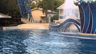 Orca lanza al Instructor fuera del AguaSeaWorld Orlando [upl. by Neerahs524]