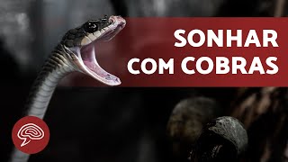 O que significa SONHAR com COBRA 🐍  SIGNIFICADO DOS SONHOS 💤 [upl. by Deena]