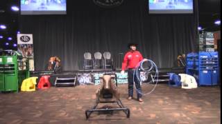 2014 NFR  Rope Rite Sled  Levi Caviness [upl. by Orly854]