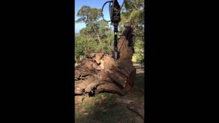 The Original 300 Ton Atom Splitter vs A Huge Stump [upl. by Yssenhguahs]