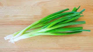 4 Ways Preserve Scallions for Weeks or Months CiCi Li  Asian Home Cooking Recipes [upl. by Richel354]