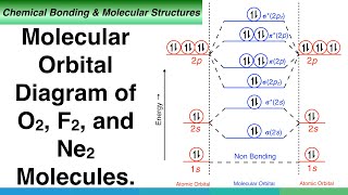 Molecular Orbital Diagram of O2 F2 and Ne2 Molecules [upl. by Phillips]