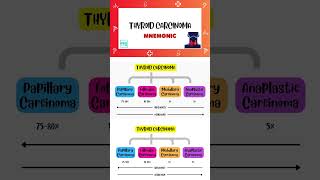 Thyroid Carcinoma  Shorts  Types Mnemonic  Endocrinology  Medi Trix [upl. by Torosian907]