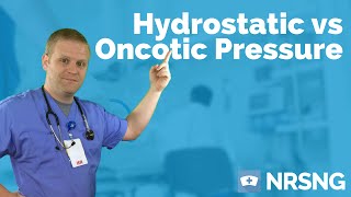 Hydrostatic vs Oncotic Pressure  Osmosis albumin fluid management edema [upl. by Meyers]