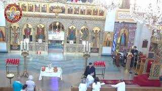 The Dormition of the Theotokos Orthros and Divine Liturgy [upl. by Nosnorb901]