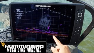 Humminbird MEGA Side Imaging Explained [upl. by Anilrac]