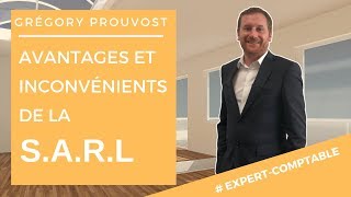 SARL Avantages amp Inconvénients  Conseils dexpert comptable Paris [upl. by Eatnuhs261]